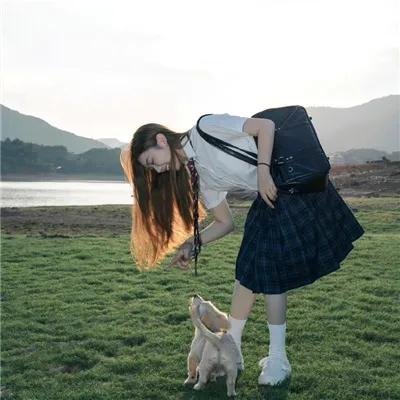 遥远的格桑花海报